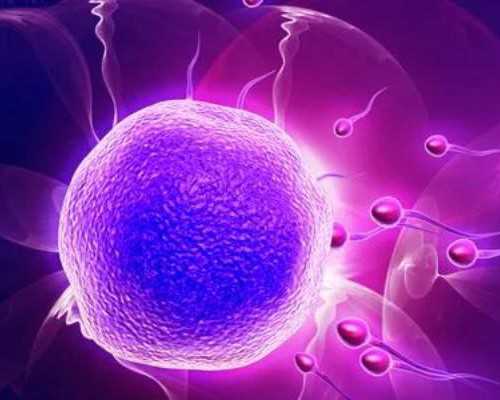 移植8细胞鲜胚几天着床？鲜胚8细胞移植后几天可以测了？，代怀流程