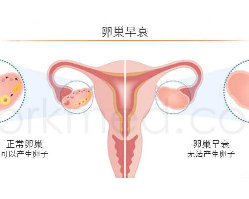5天囊胚和6天囊胚区别，5天的囊胚和6天的囊胚怎么样？