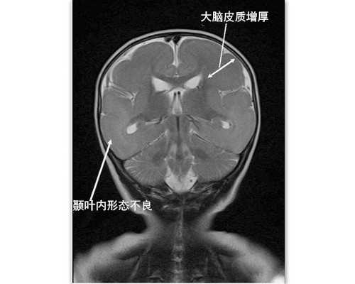 2026北京最大的三代试管公司有哪些？排名参考